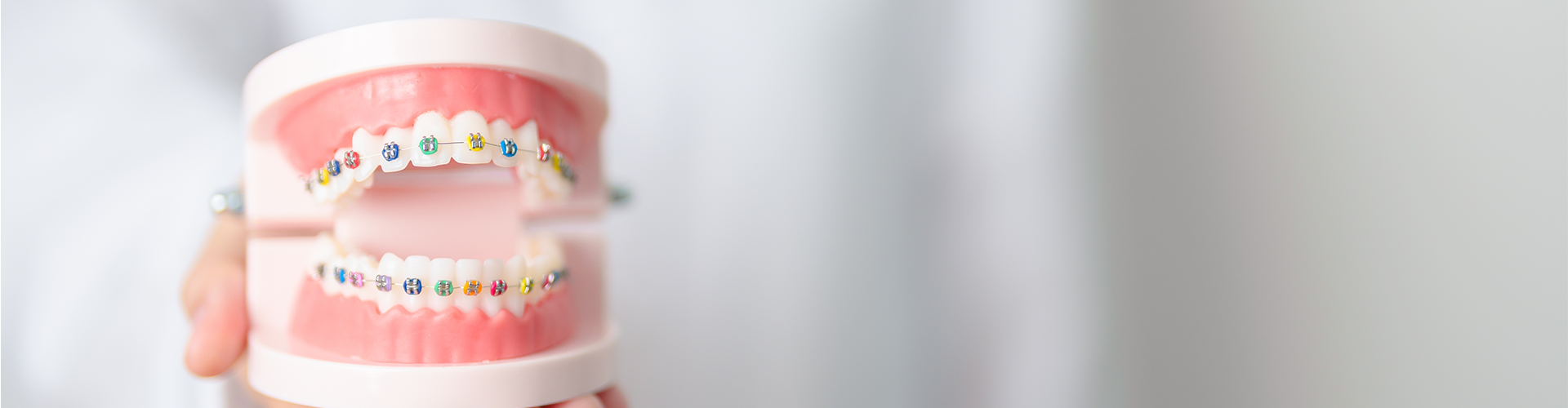 Hand holding mouth model with braces.